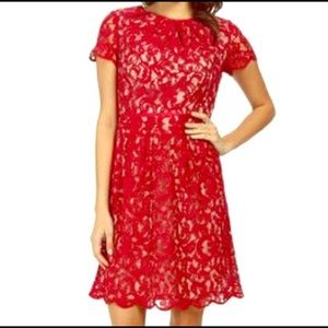 Scalloped red lace dress